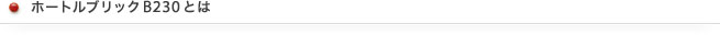 ホートルブリックB230とは
