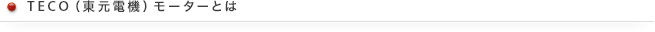 TECO（東元電機）モーターとは